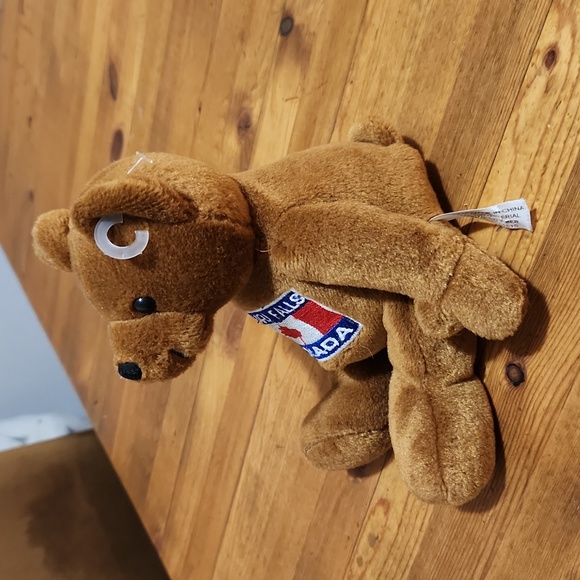 Nigara Falls 🇨🇦 Canada 6" Soft & Plush Brown Teddy 🧸 Bear Like New! - Picture 2 of 5